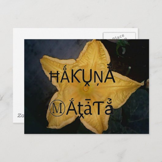 Carte Postale Golden Star Hakuna Matata (Devant / Derrière)