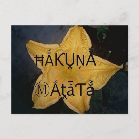 Carte Postale Golden Star Hakuna Matata (Devant)