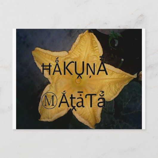 Carte Postale Golden Star Hakuna Matata (Devant)