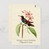 Carte postale Golden Tel Sapphire Hummingbird Art (Devant / Derrière)