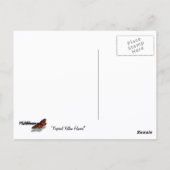 Carte Postale Golden Trumpet (Dos)