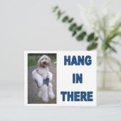CARTE POSTALE GOLDENDOODLE (Debout devant)