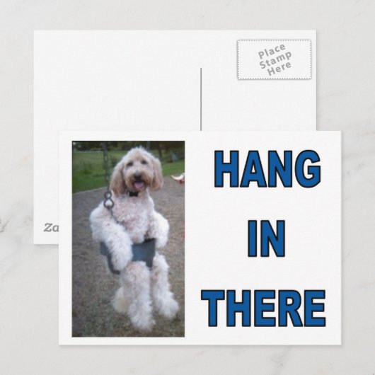 CARTE POSTALE GOLDENDOODLE (Devant / Derrière)