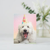 Carte Postale Goldendoodle avec Casquette du parti (Debout devant)