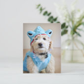 Carte Postale Goldendoodle En Costume De Requin (Debout devant)
