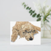 Carte postale Goldendoodle Stella (Debout devant)
