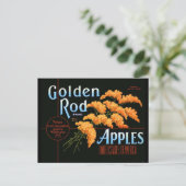 Carte Postale Goldenrod (Debout devant)