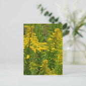 Carte Postale Goldenrod du Kentucky (Debout devant)