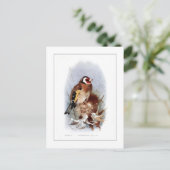 Carte Postale Goldfinch (Debout devant)