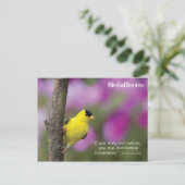 Carte Postale Goldfinch (Debout devant)