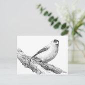 Carte Postale Goldfinch (Debout devant)