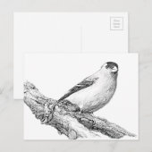 Carte Postale Goldfinch (Devant / Derrière)