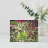 Carte Postale Goldfinch (Debout devant)