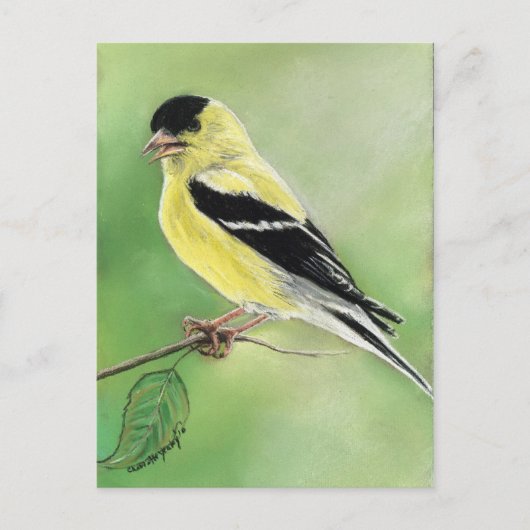Carte postale "Goldfinch" Bird Art (Devant)