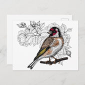 Carte Postale Goldfinch et rose (Devant / Derrière)