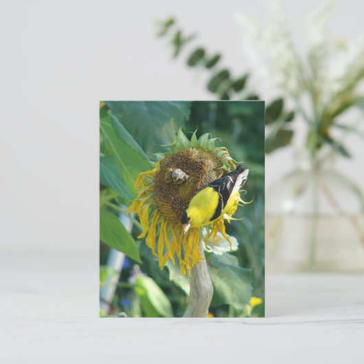Carte Postale Goldfinch et Sunflower (Debout devant)