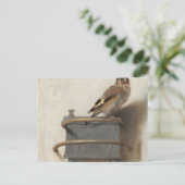 Carte Postale Goldfinch Par Carel Fabritius (Debout devant)