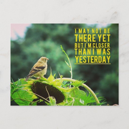 Carte Postale Goldfinch Plus Près Que J'Étais Hier (Devant)