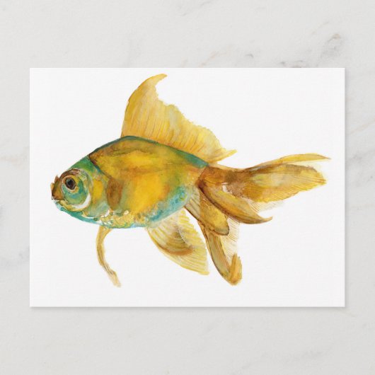 Carte Postale goldfish2.jpg (Devant)