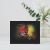 Carte postale Goldfish colorée (Debout devant)