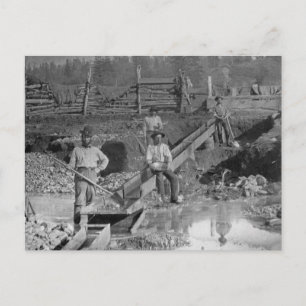 Carte Postale Goldminers Gold Rush Miners ~ California 1850
