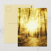 CARTE POSTALE GOLDSUN2 (Devant / Derrière)