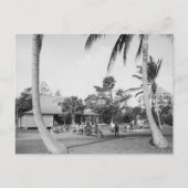 Carte Postale Golf à Palm Beach, 1904 (Devant)