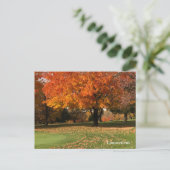Carte postale "Golf En Automne" (Debout devant)
