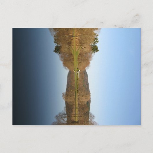 Carte Postale Golf inondé (Devant)