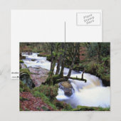 Carte Postale Golitha Falls, Cornwall, Angleterre au Cornish Ri (Devant / Derrière)