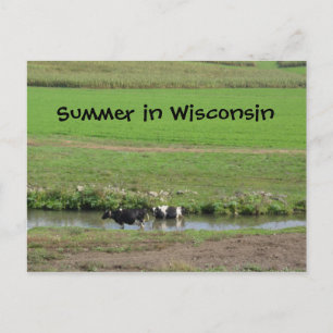 Carte Postale Gone Swimmin'