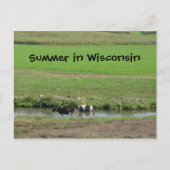 Carte Postale Gone Swimmin' (Devant)