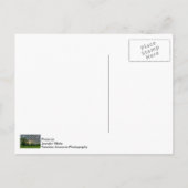 Carte postale Good Morning Ozark (Dos)