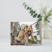 Carte Postale Goofy (Debout devant)