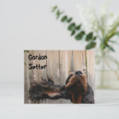 Carte postale Goofy Gordon Setter (Debout devant)