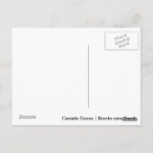 Carte Postale Goose Gosling Canada (Dos)