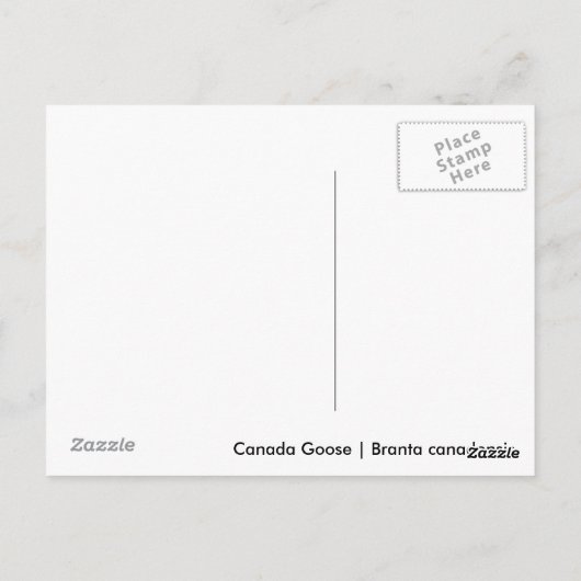 Carte Postale Goose Gosling Canada (Dos)