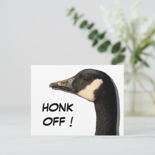 Carte postale Goose Head (Debout devant)