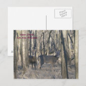 Carte Postale Goose Island, LaCrosse, Wisconsin (Devant / Derrière)