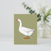Carte Postale Goose Roman Tufted (Debout devant)