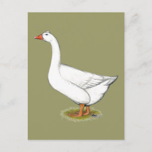 Carte Postale Goose Roman Tufted
