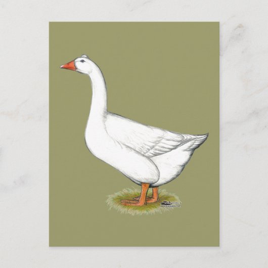 Carte Postale Goose Roman Tufted (Devant)