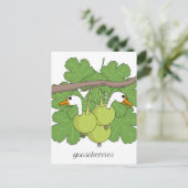 Carte Postale Gooseberries (Debout devant)