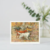 Carte postale Gordon, Irish and English Setter Dog (Debout devant)