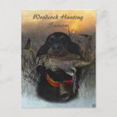 Carte Postale Gordon Setter (Devant)