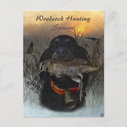 Carte Postale Gordon Setter (Devant)