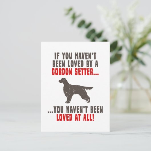 Carte Postale Gordon Setter (Debout devant)