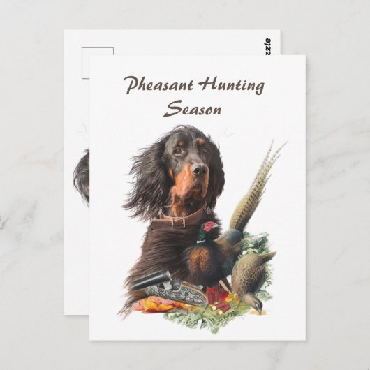 Carte Postale Gordon Setter (Devant / Derrière)