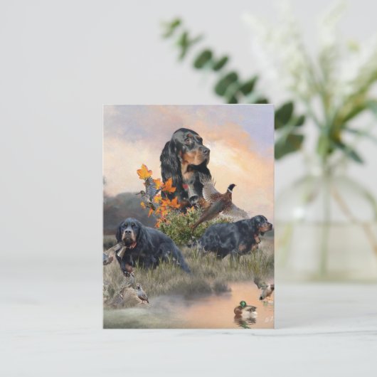 Carte Postale Gordon Setter (Debout devant)