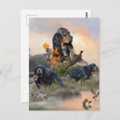 Carte Postale Gordon Setter (Devant / Derrière)